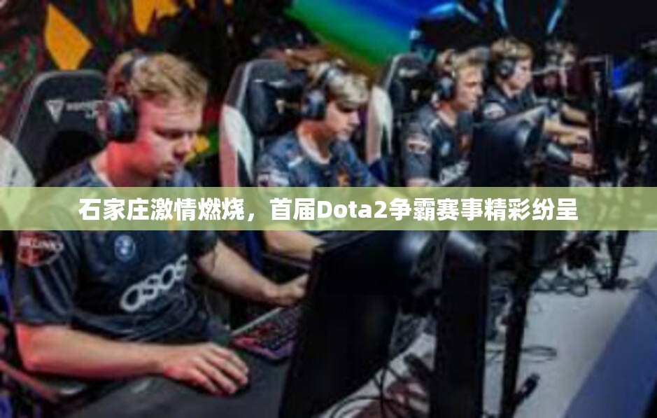 石家庄激情燃烧，首届Dota2争霸赛事精彩纷呈