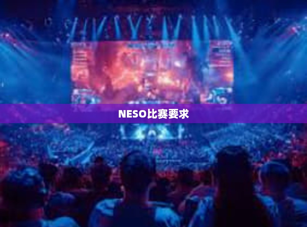 NESO比赛要求